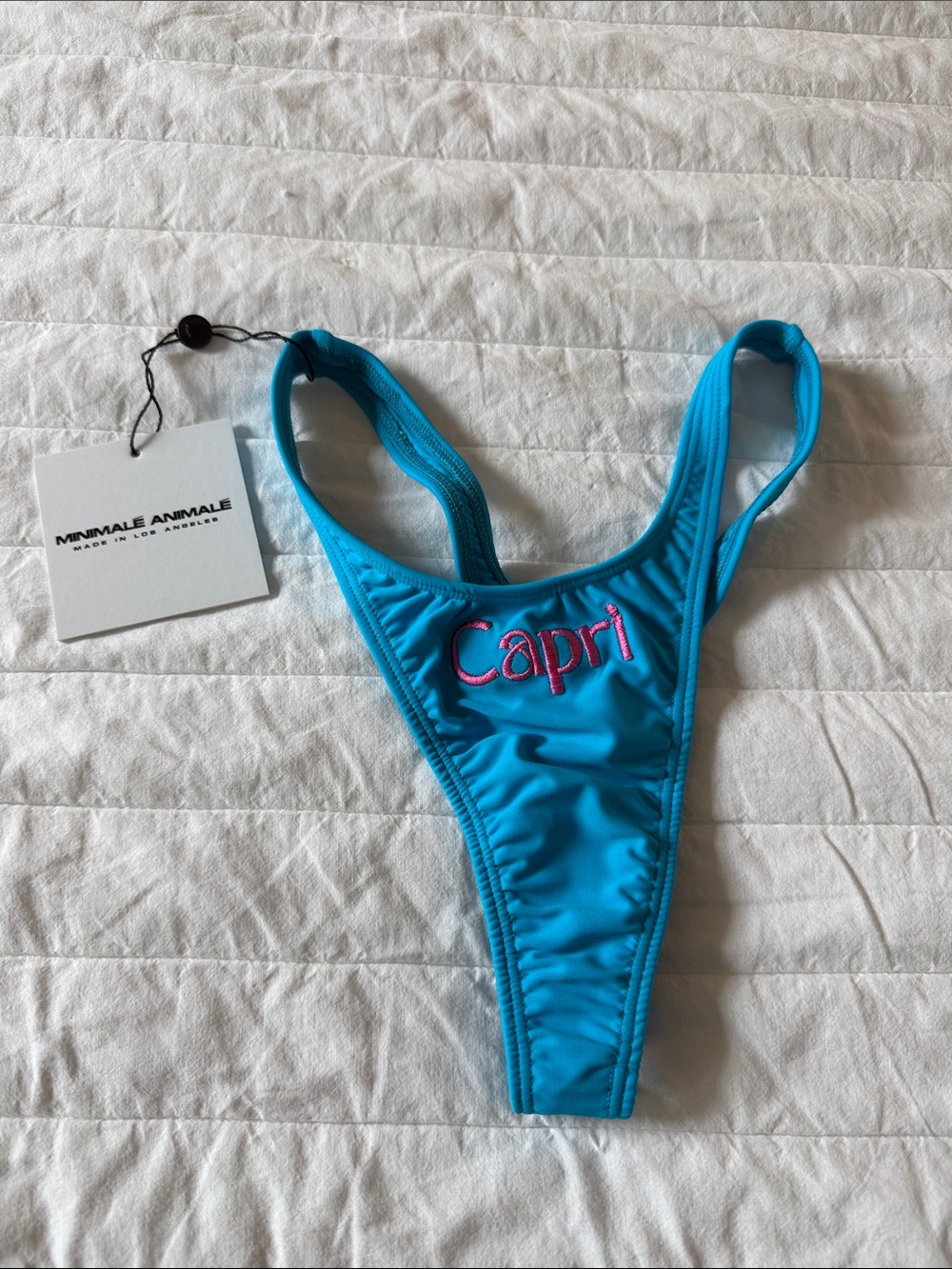 Minimale Animale Turquoise Bikini Bottom with Pink Capri Embroidery